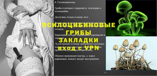 крисы Алексин