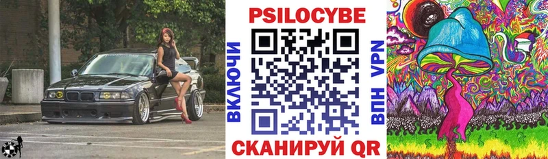 Купить закладки  Сковородино  Псилоцибиновые грибы GOLDEN TEACHER 
